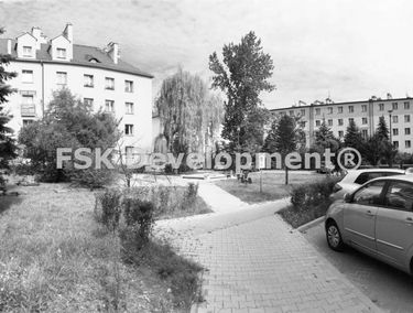 Zdjęcie 14875330