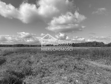 Zdjęcie 14875385