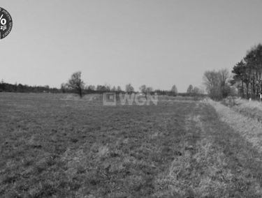 Zdjęcie 14875467