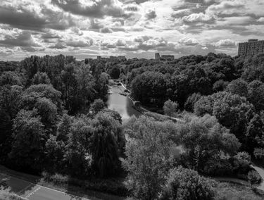 Zdjęcie 14875512