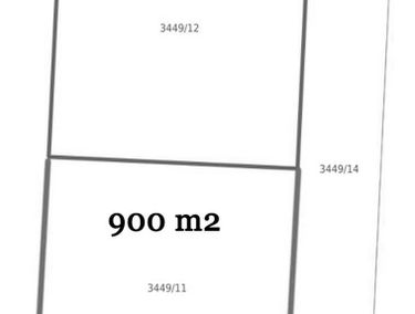 Zdjęcie 14875553
