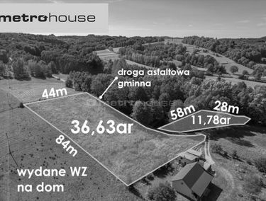 Zdjęcie 14878026