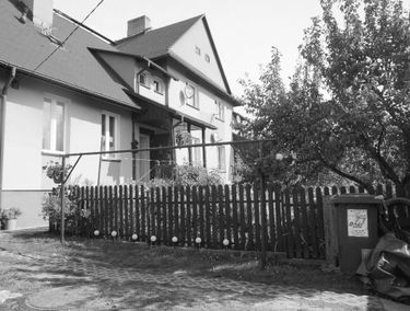 Zdjęcie 14880788