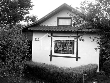 Zdjęcie 14880863