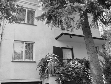 Zdjęcie 14880892