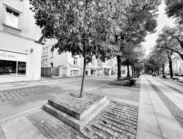Zdjęcie 14881401