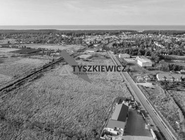 Zdjęcie 14882467