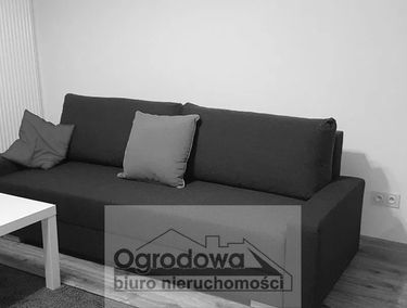 Zdjęcie 14883168