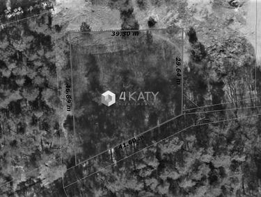 Zdjęcie 14884435