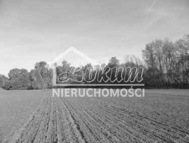 Zdjęcie 14884754
