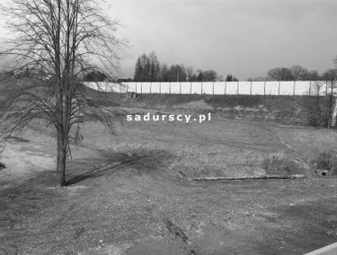 Zdjęcie 14884947
