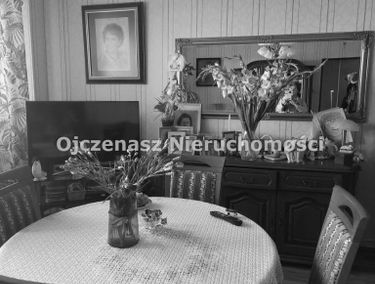 Zdjęcie 14888456