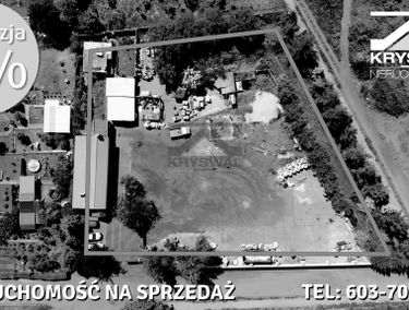 Zdjęcie 14888496