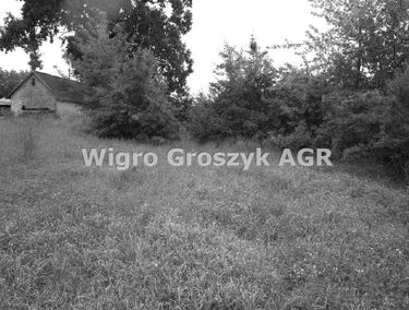 Zdjęcie 14888542