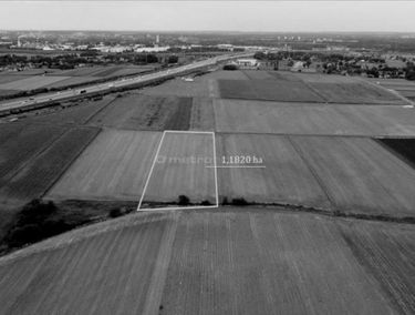 Zdjęcie 14888829
