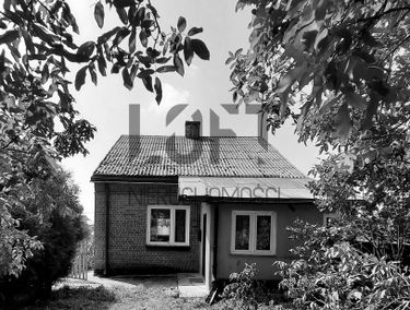 Zdjęcie 14889146