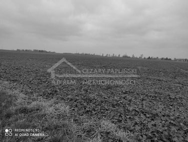 Zdjęcie 14890366