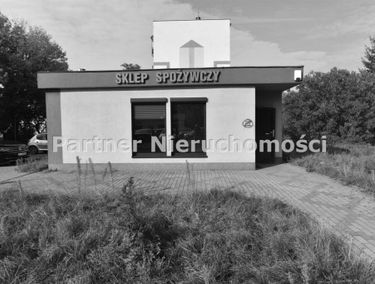 Zdjęcie 14890464