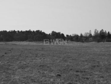 Zdjęcie 14890602