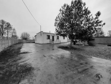 Zdjęcie 14890624