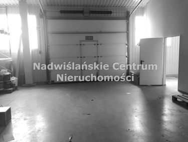 Zdjęcie 14890669