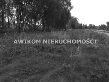 Zdjęcie 14890687