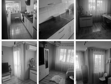 Zdjęcie 14890707