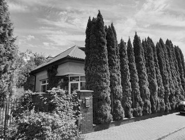 Zdjęcie 14890907