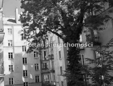 Zdjęcie 14891823