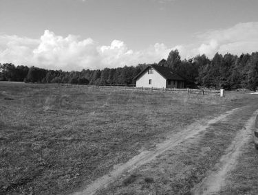Zdjęcie 14891974