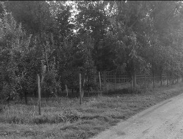 Zdjęcie 14892071