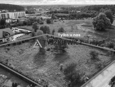 Zdjęcie 14893073