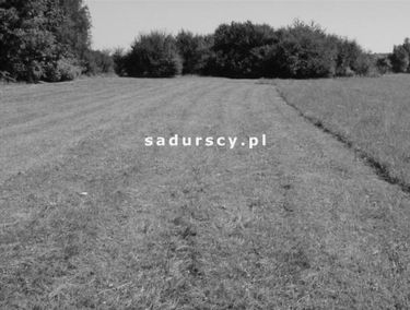 Zdjęcie 14895603