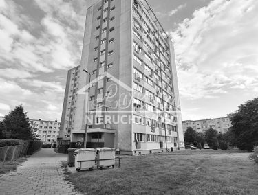 Zdjęcie 14896023
