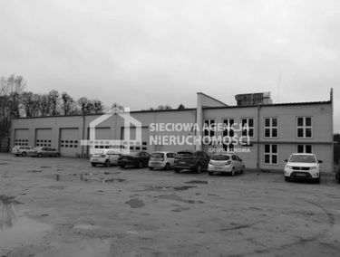 Zdjęcie 14896175