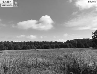 Zdjęcie 14896187