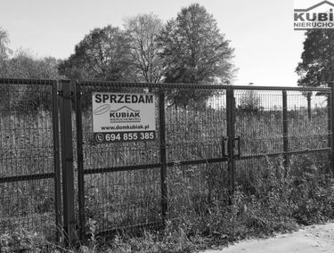 Zdjęcie 14896415
