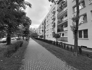 Zdjęcie 14896652