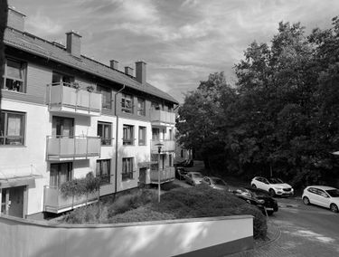 Zdjęcie 14897490