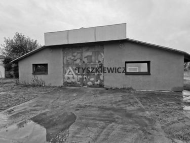 Zdjęcie 14897741