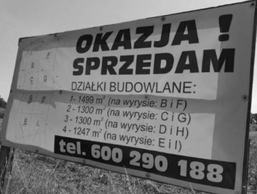 Zdjęcie 14897748