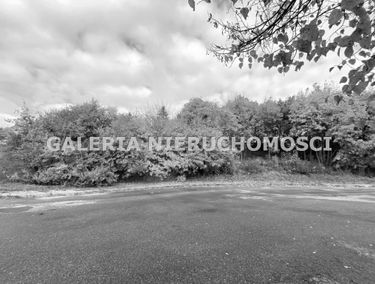 Zdjęcie 14898041