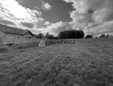 Zdjęcie 14898406
