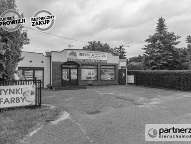 Zdjęcie 14898899
