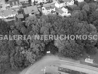Zdjęcie 14899080