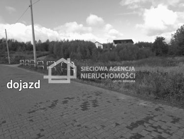 Zdjęcie 14899674