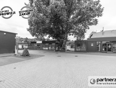 Zdjęcie 14900097
