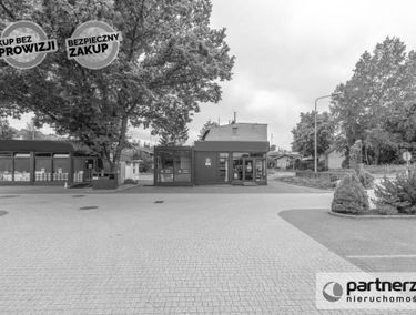 Zdjęcie 14900122