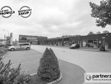 Zdjęcie 14900158