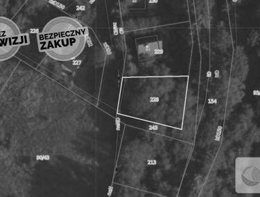 Zdjęcie 14901123